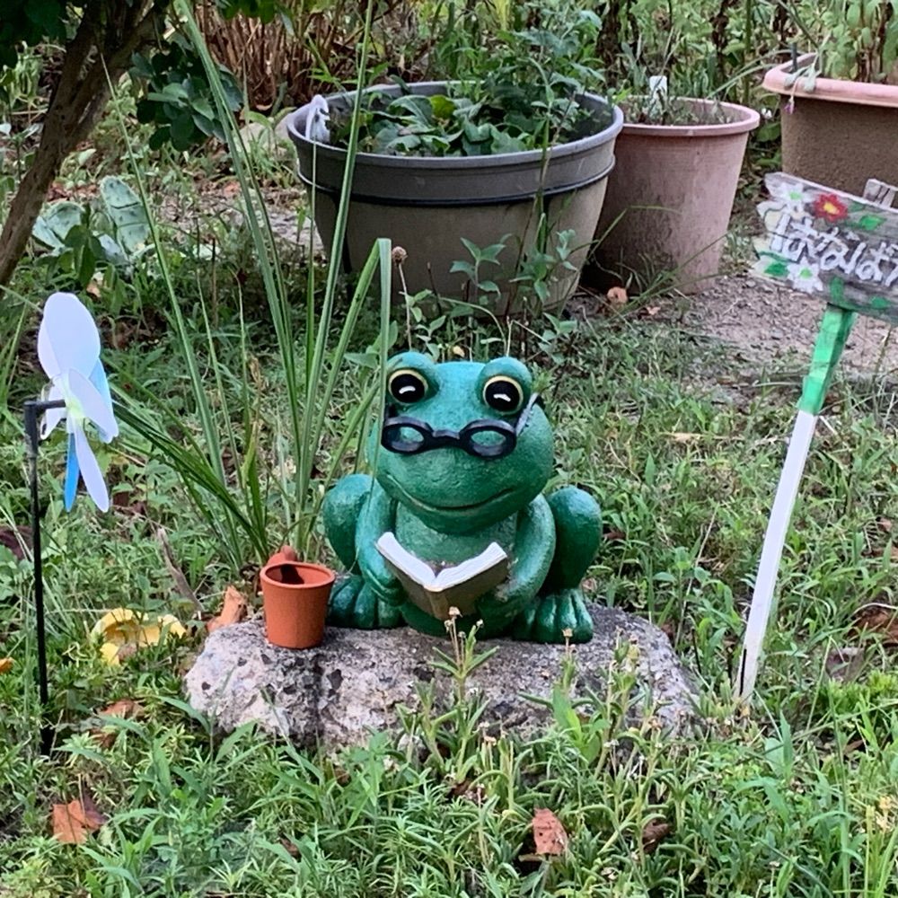 しらがワニ