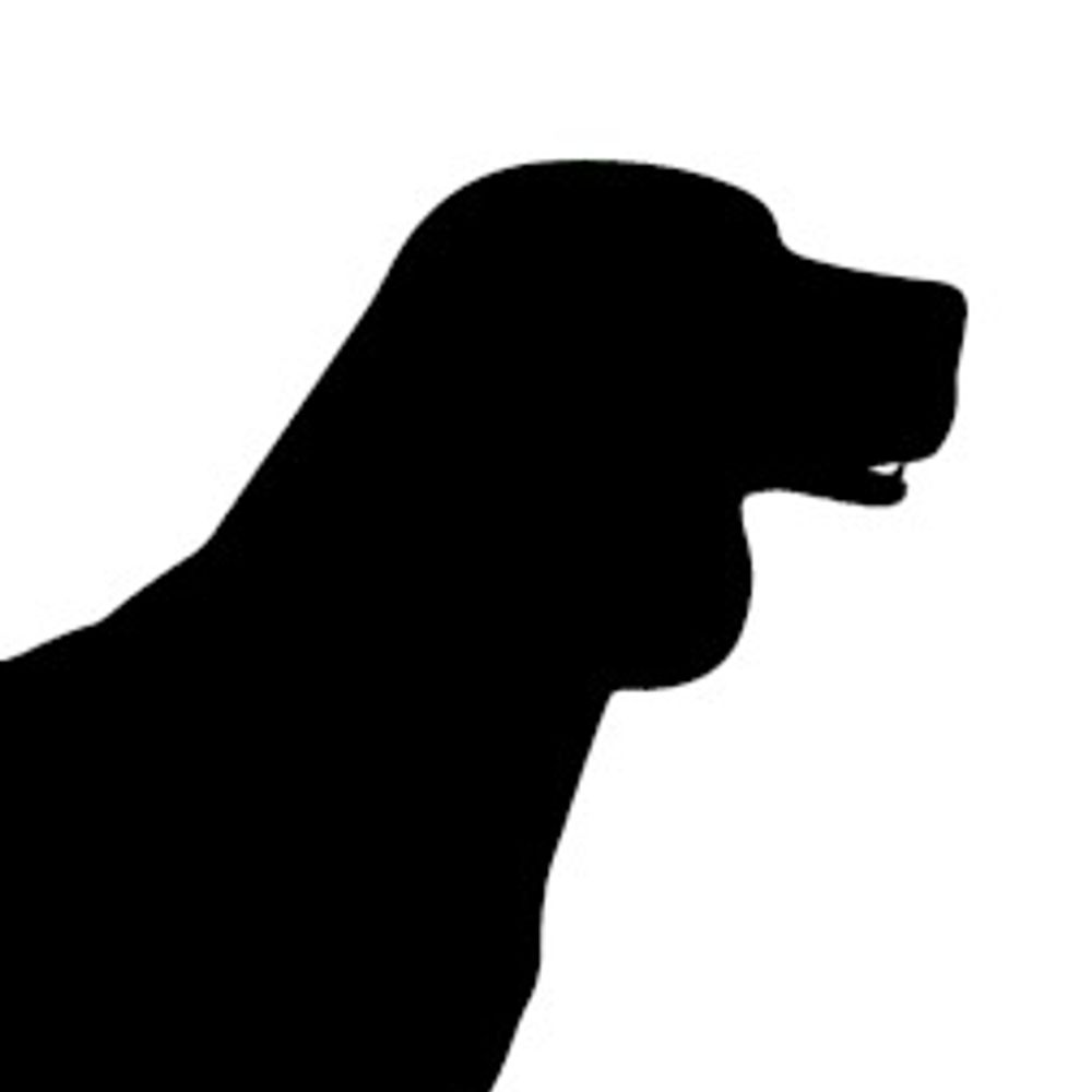 Milwaukee Beagle