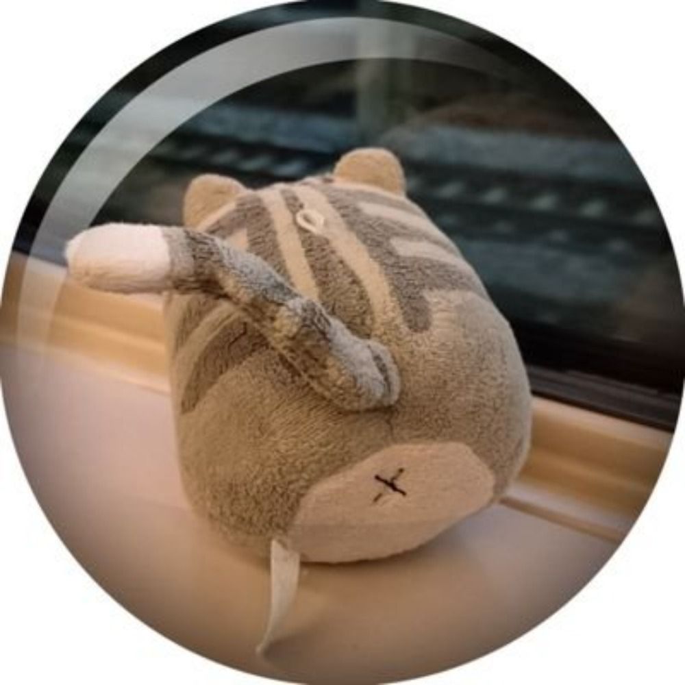 こずボン