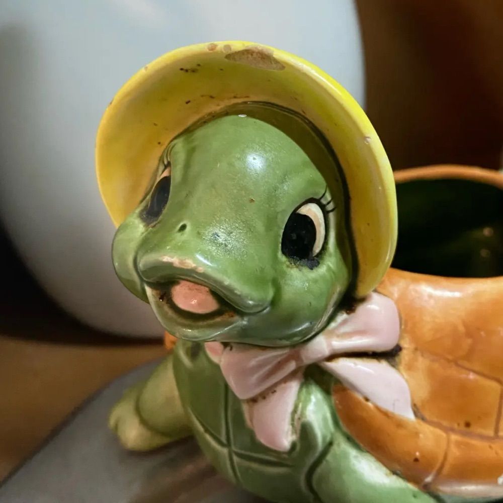 turtlewithhat