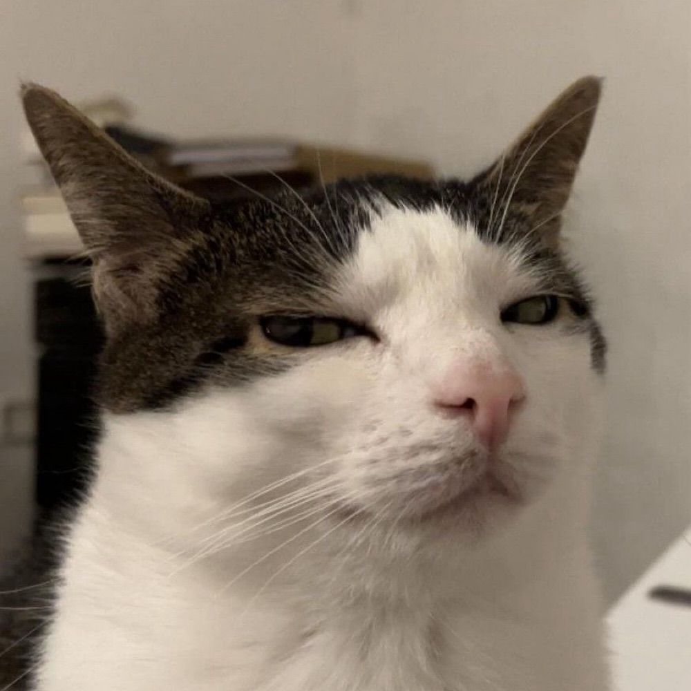 B.