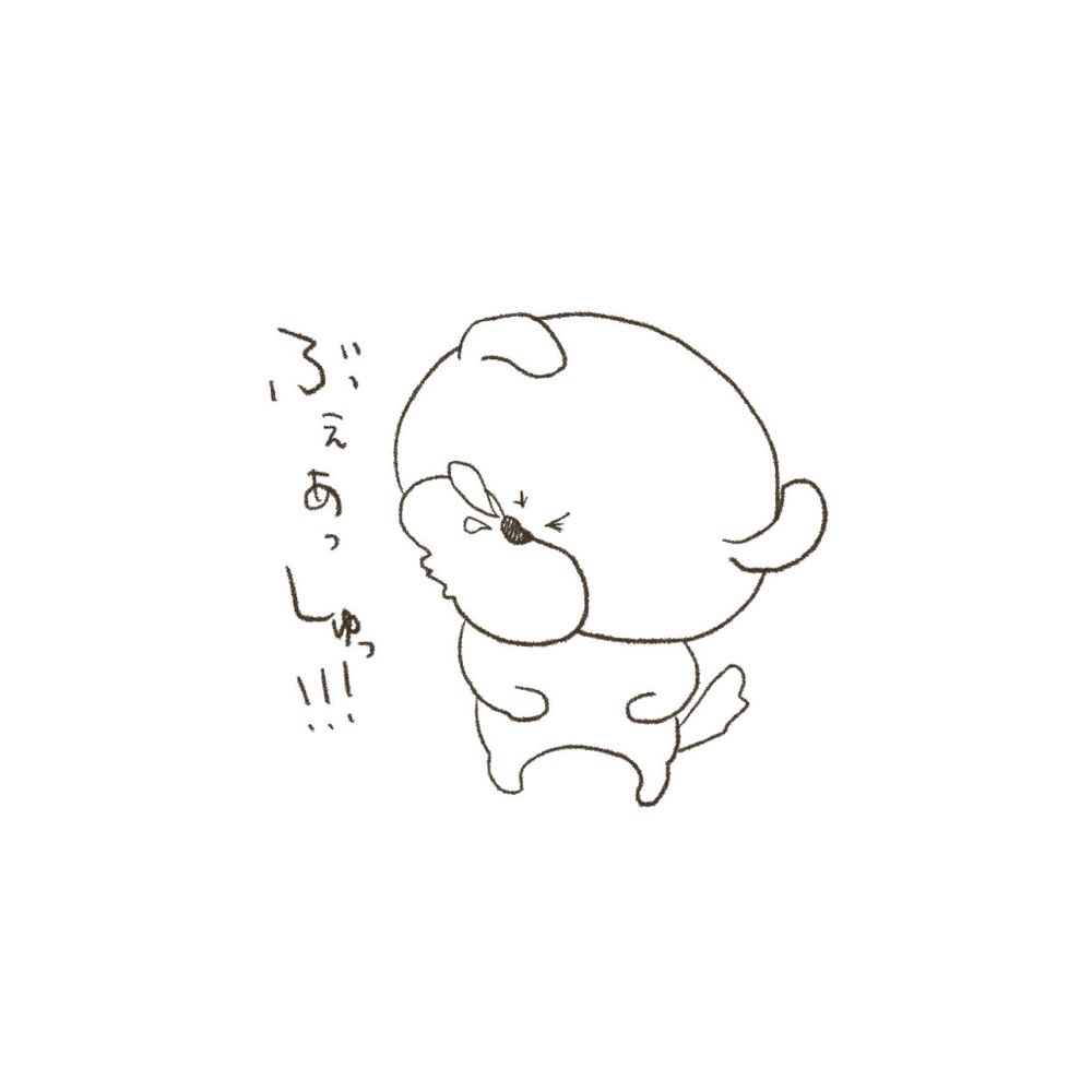 シマ(ゆか)