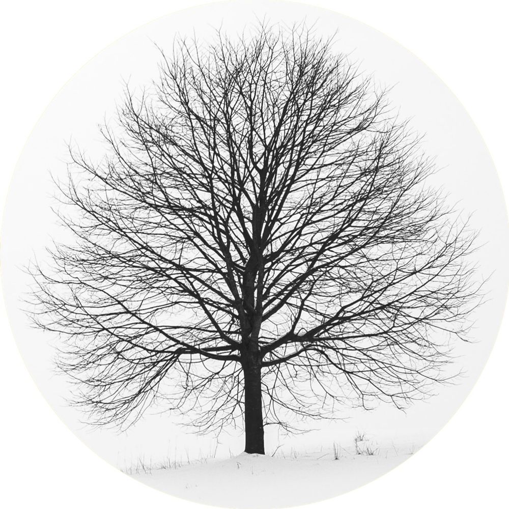 A Calm & Simple Life