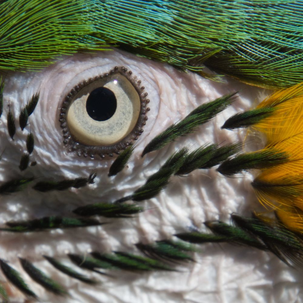 mrdavescott.bsky.social