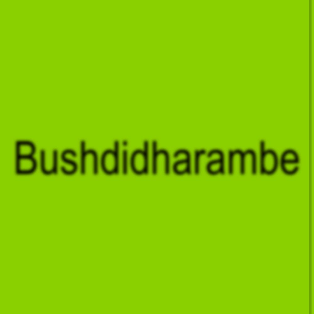 Bushdidharambe