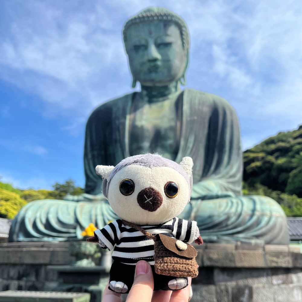 どんちゃん