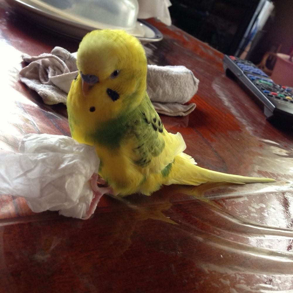 ユウキ