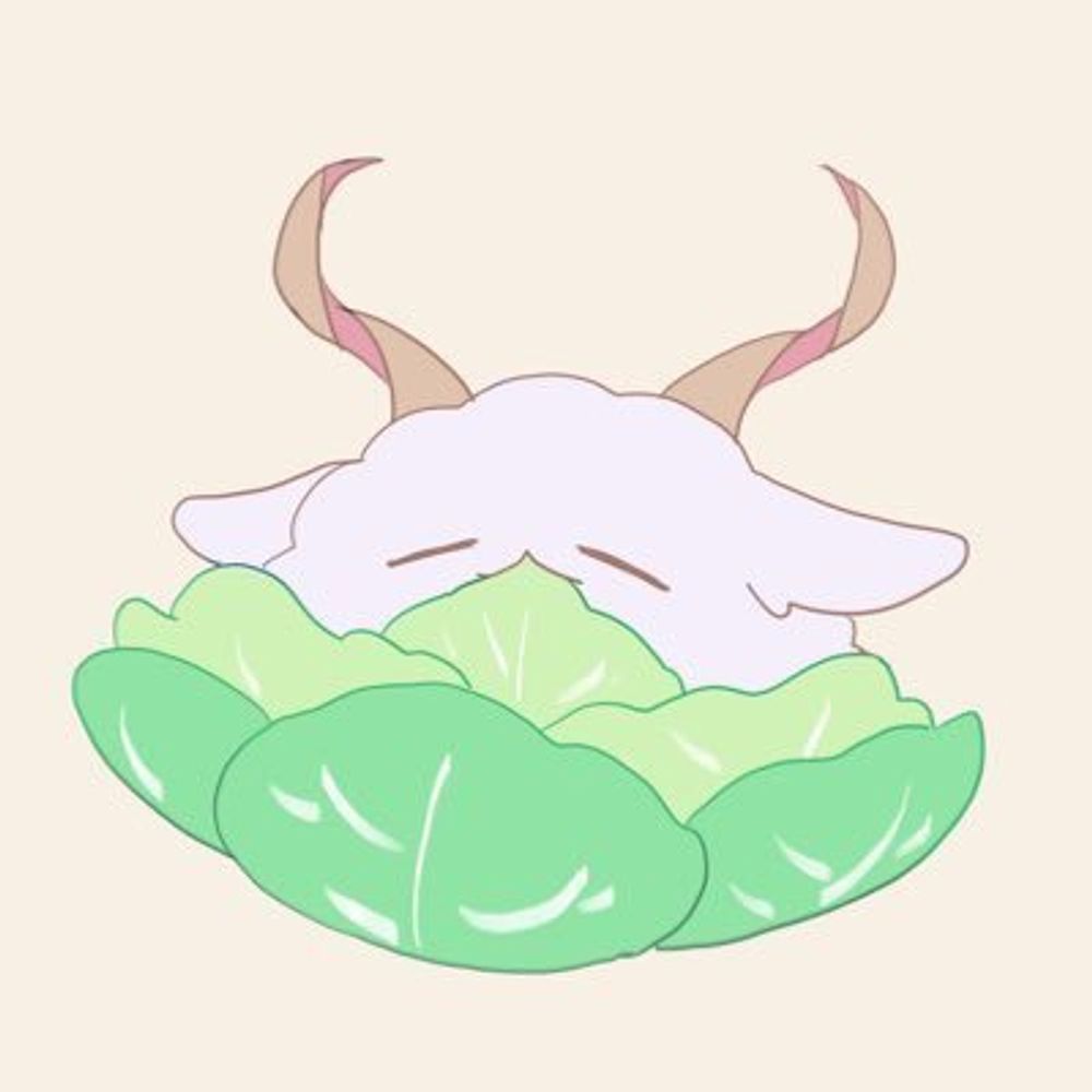 圏🍩