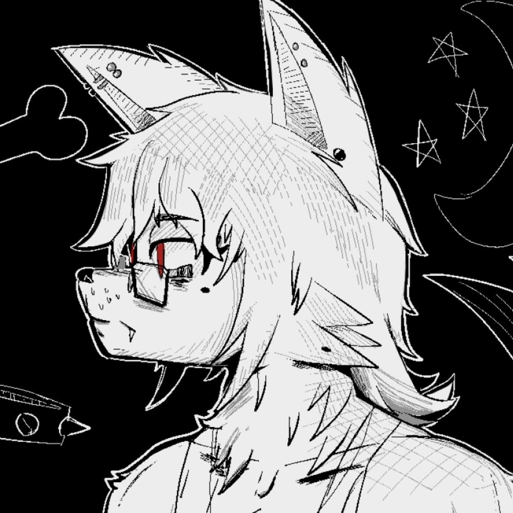 Wolf🐺