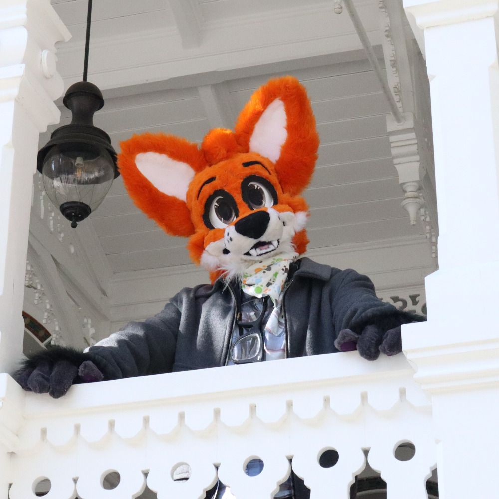 Kwiky