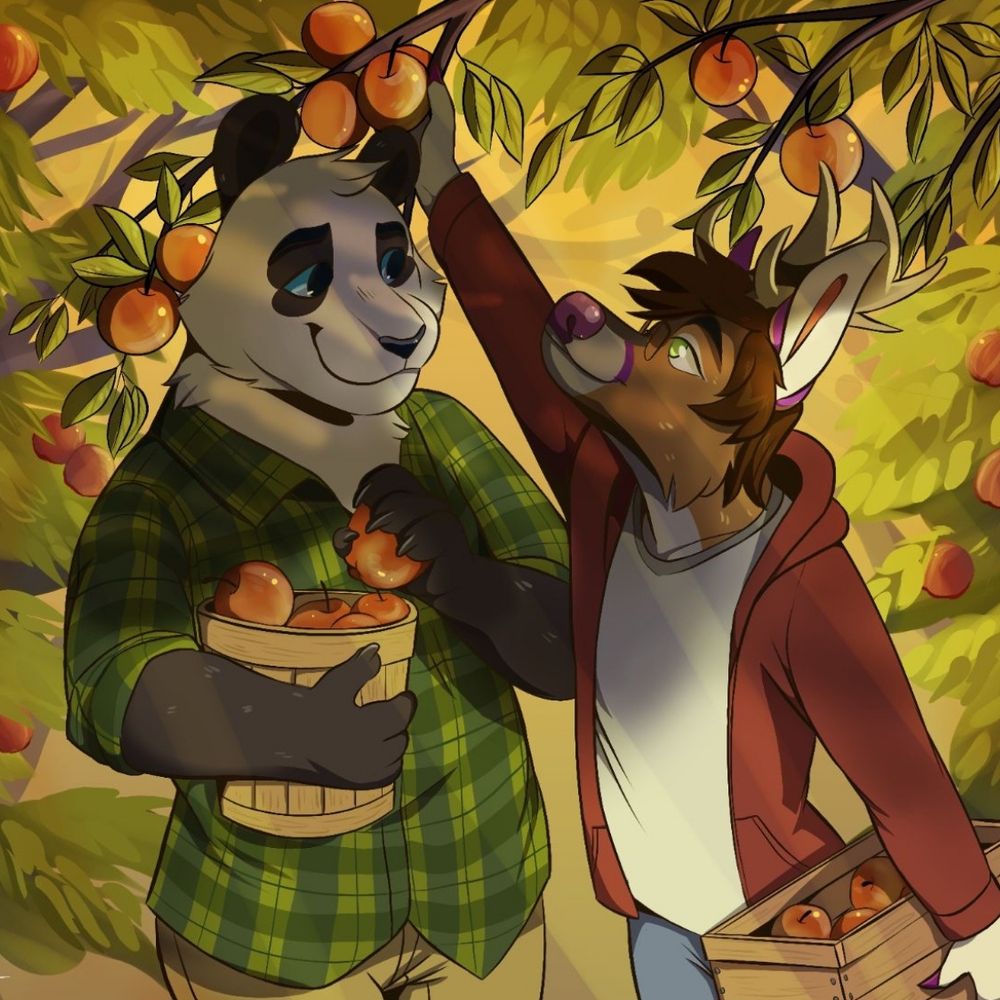 Atticus panda