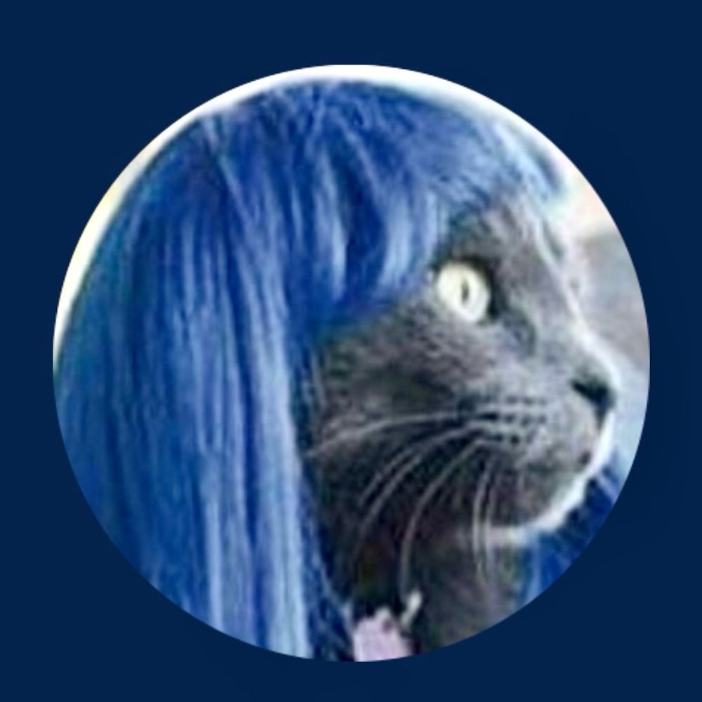 Franticee 🟧💙🌊's avatar
