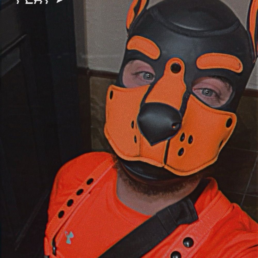 Dino (DJ DinoMight)