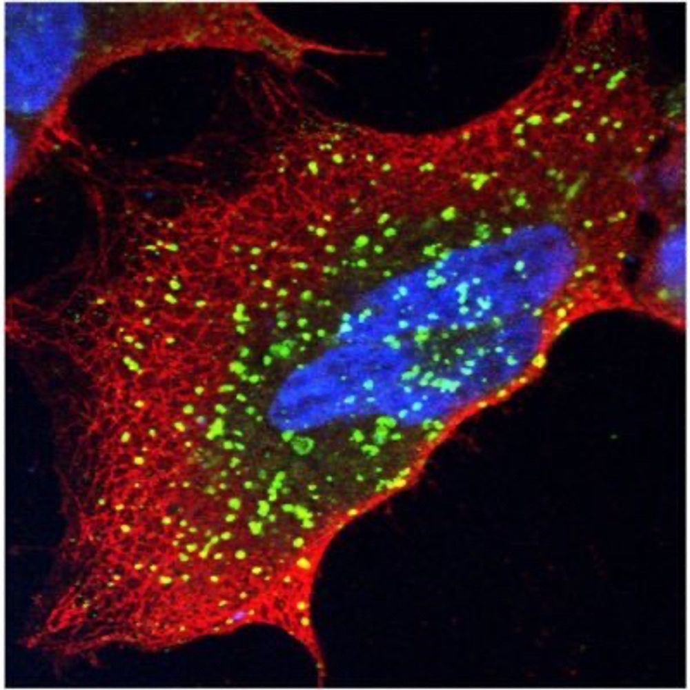 Cell Biology J-Club