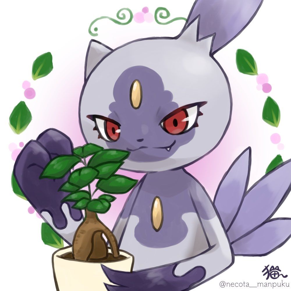 がじゅマル