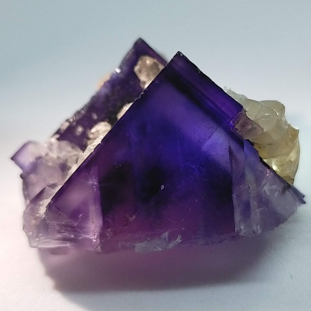 なーこ💎