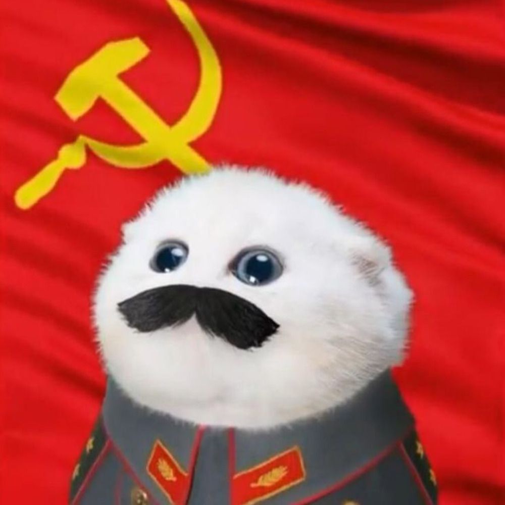 Matt