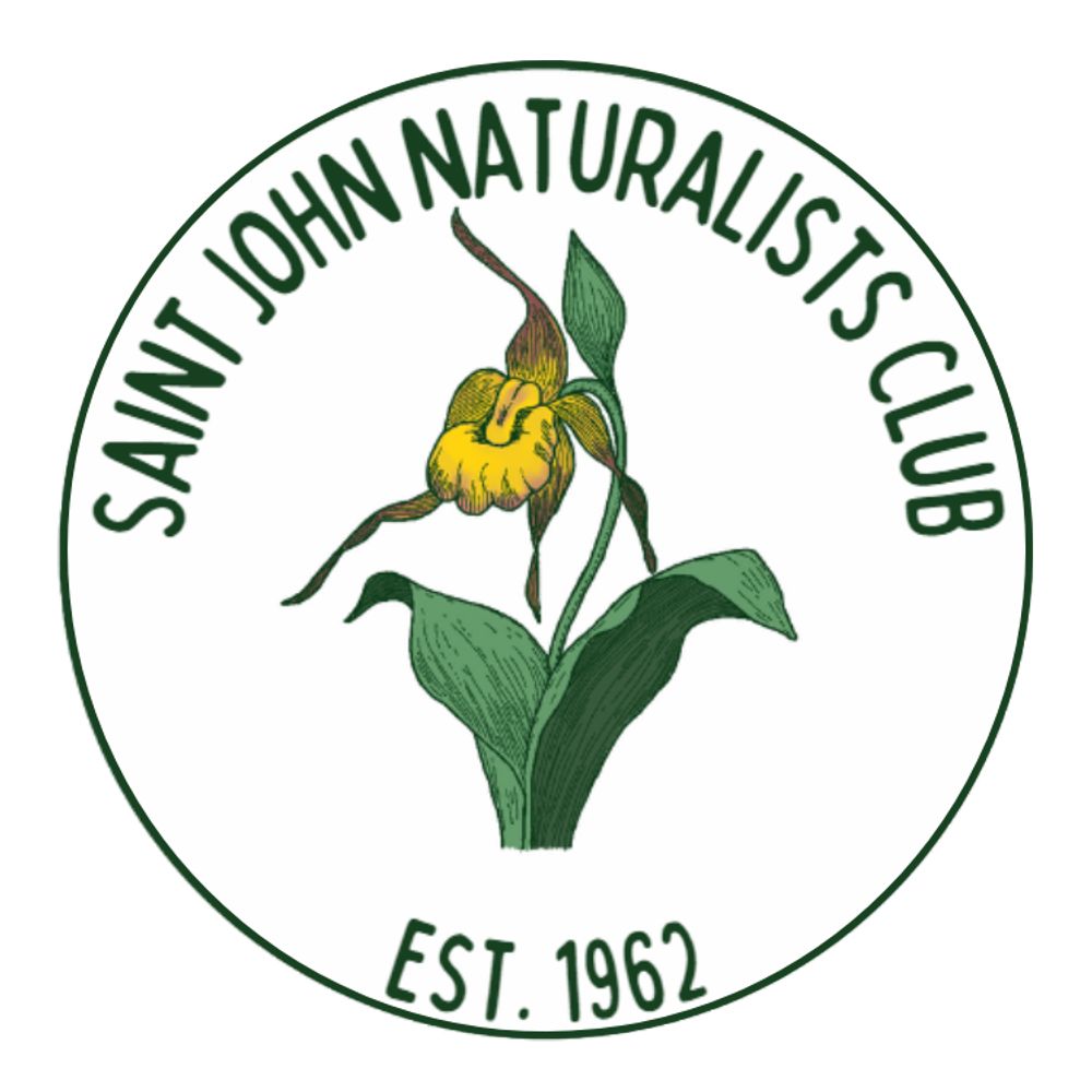 Nature Saint John