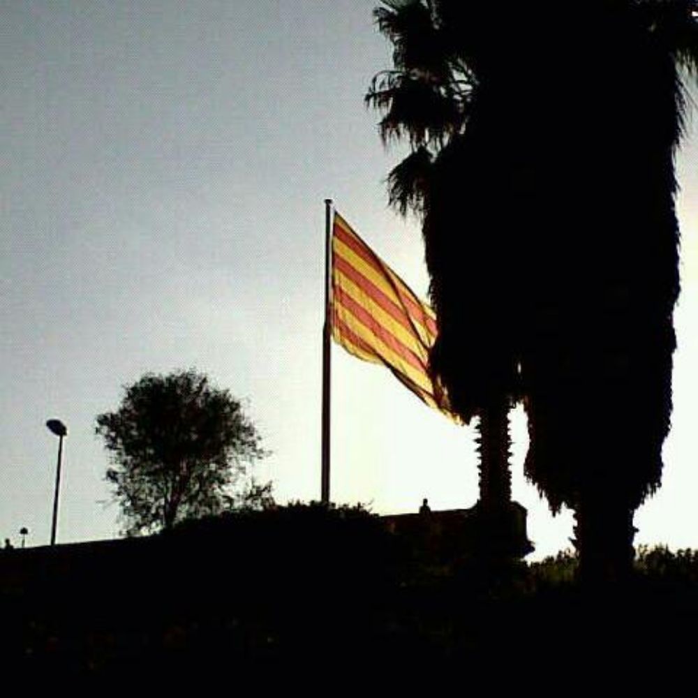 Josep N.