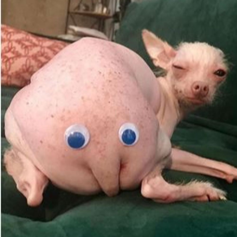 Pinky McButtface