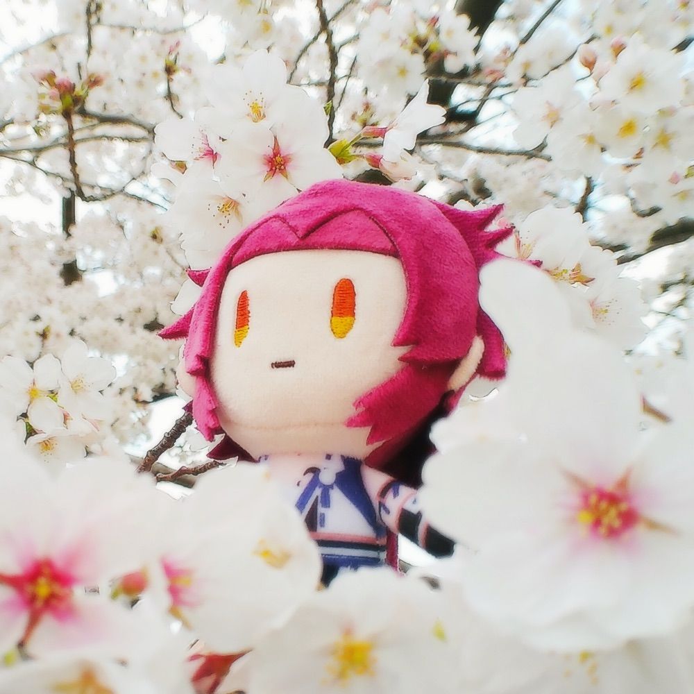 Sen