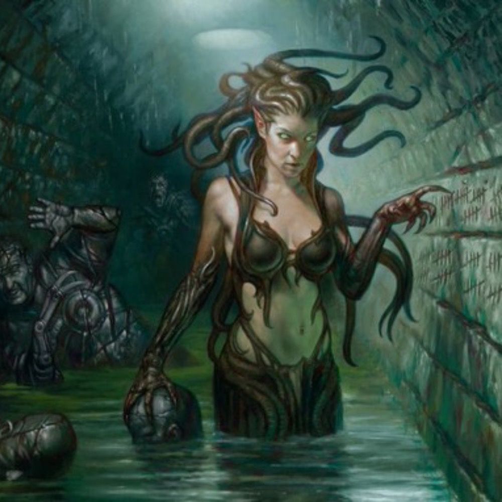 Medusa queen of the gorgons 