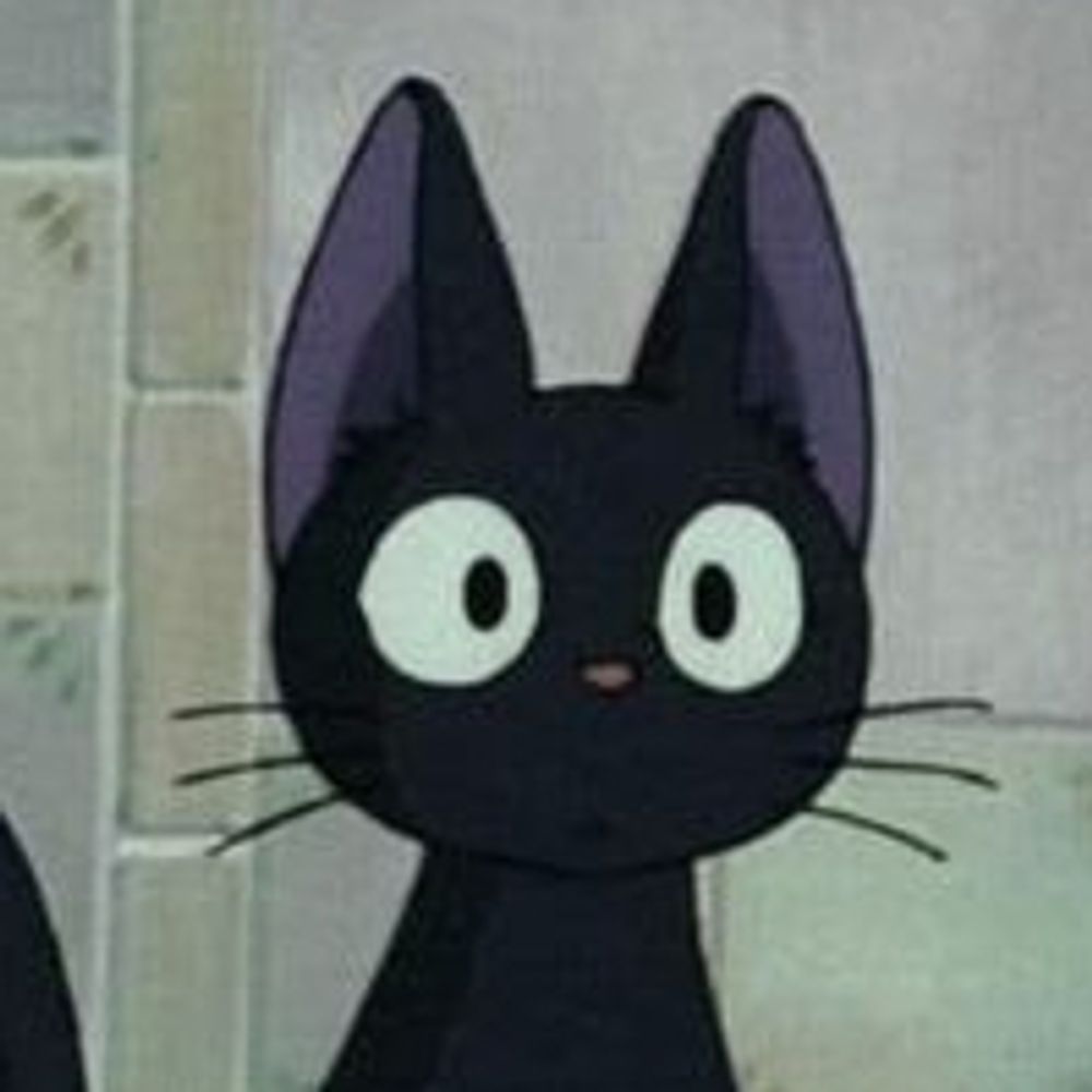 ꒰ᐢ. .ᐢ꒱₊˚⊹