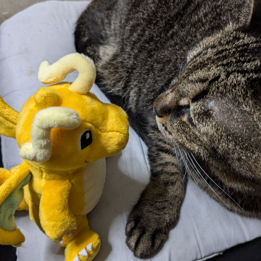 八冠ピカチュウ&カイリュー