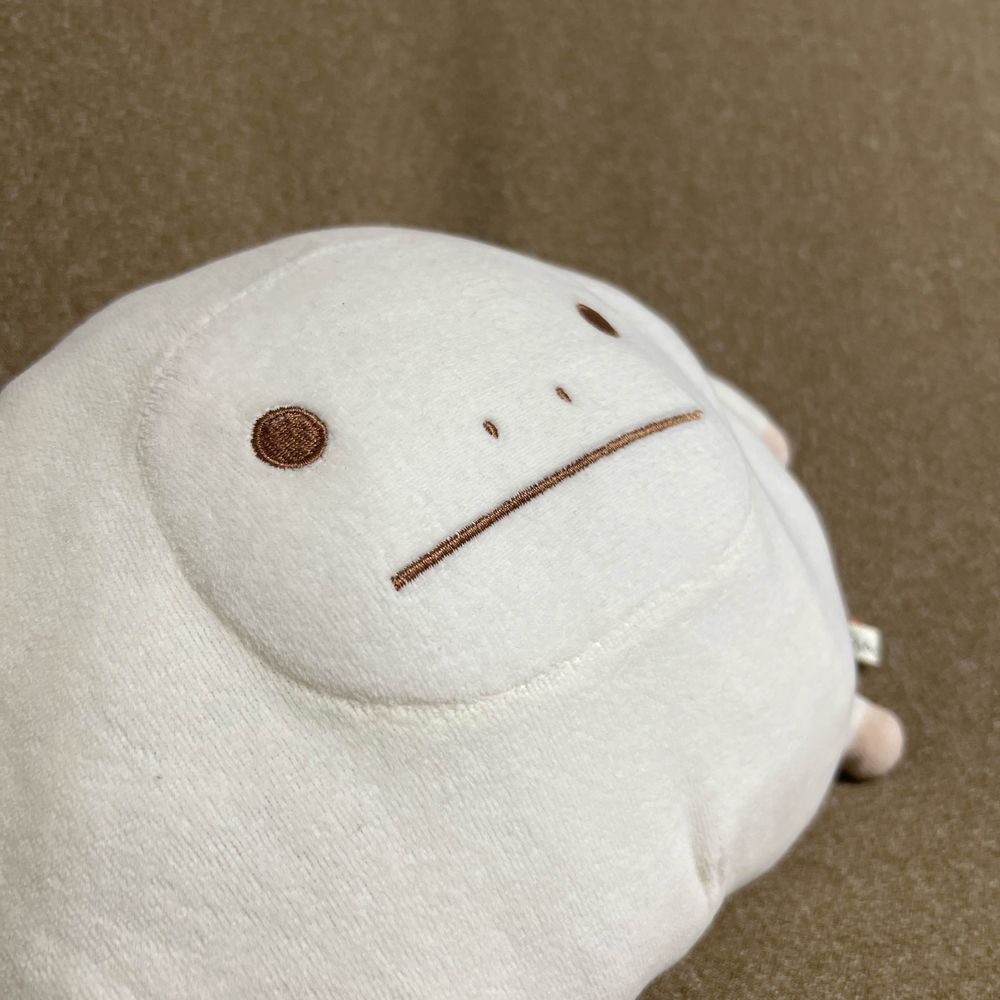 わん