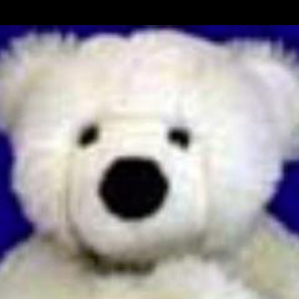 Ted De-Bear MP