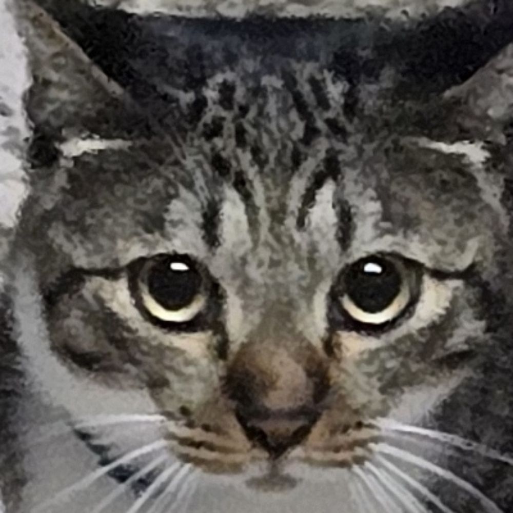 モッツァレラチー介