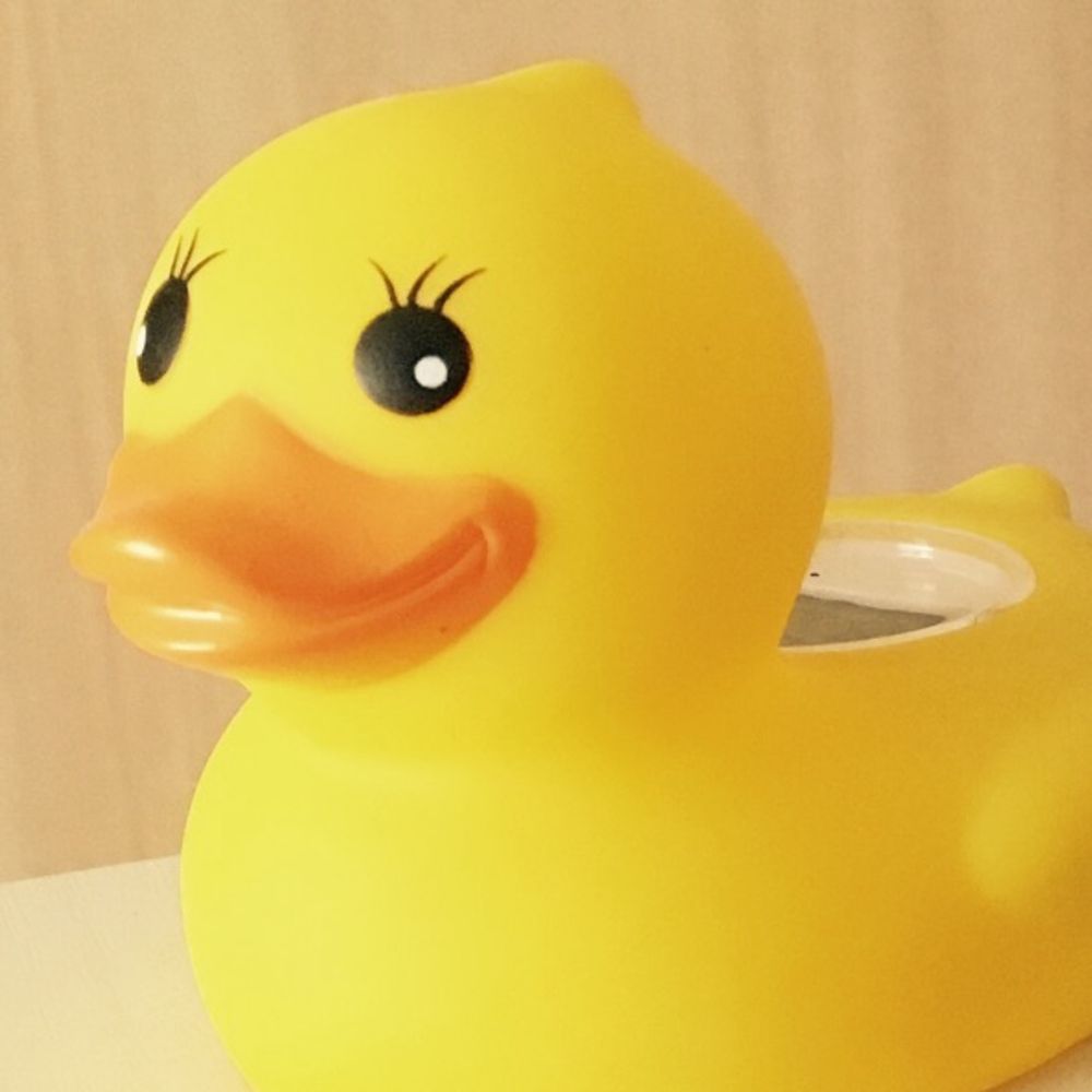 キサラギ🐤