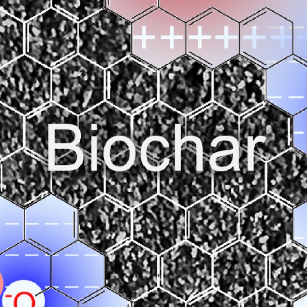 Biochar4life
