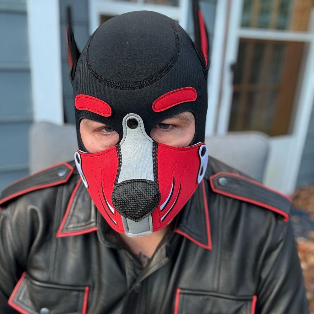 Pup Delos