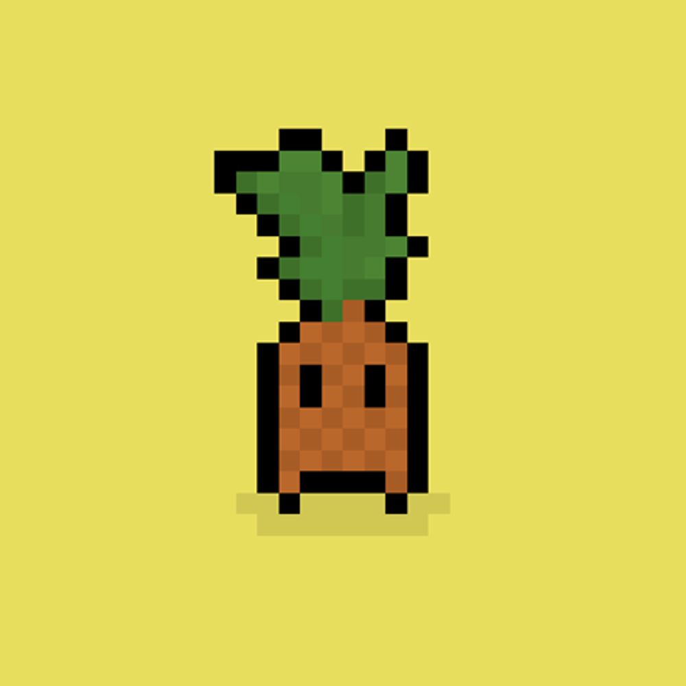 Pineapple Guy