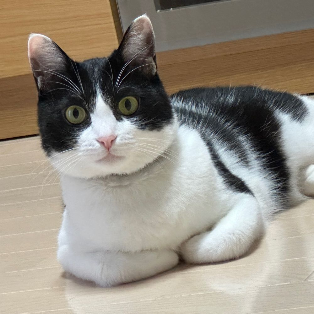 あき
