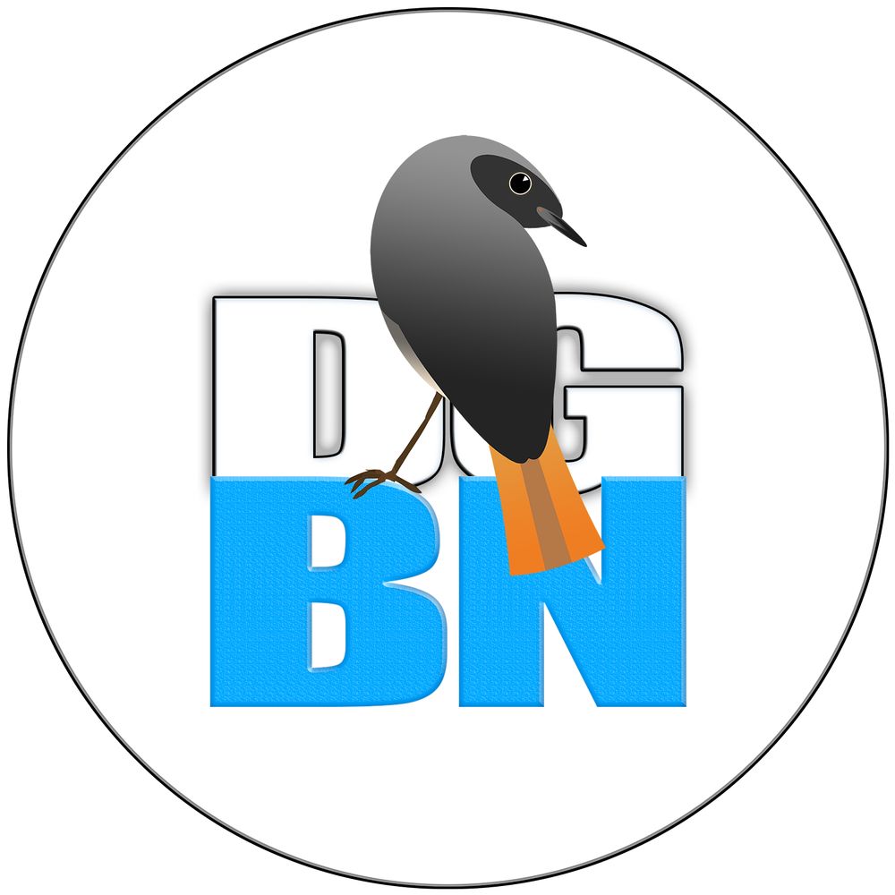 D&G Bird News