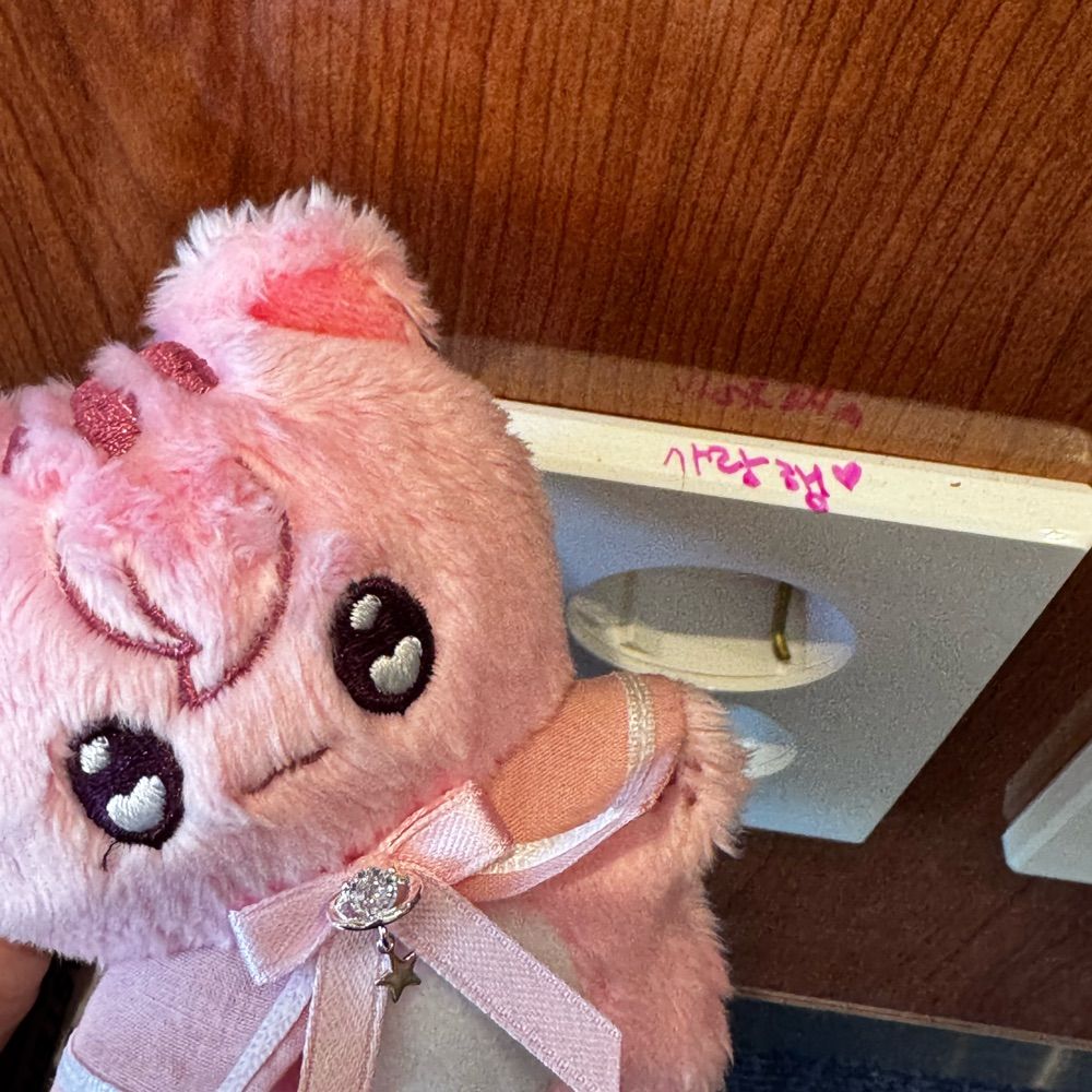 🌸쪼미왕쟈დ ᩚ