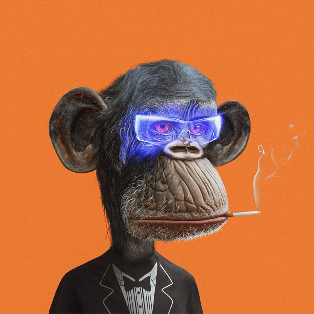 CryptoBigbrains