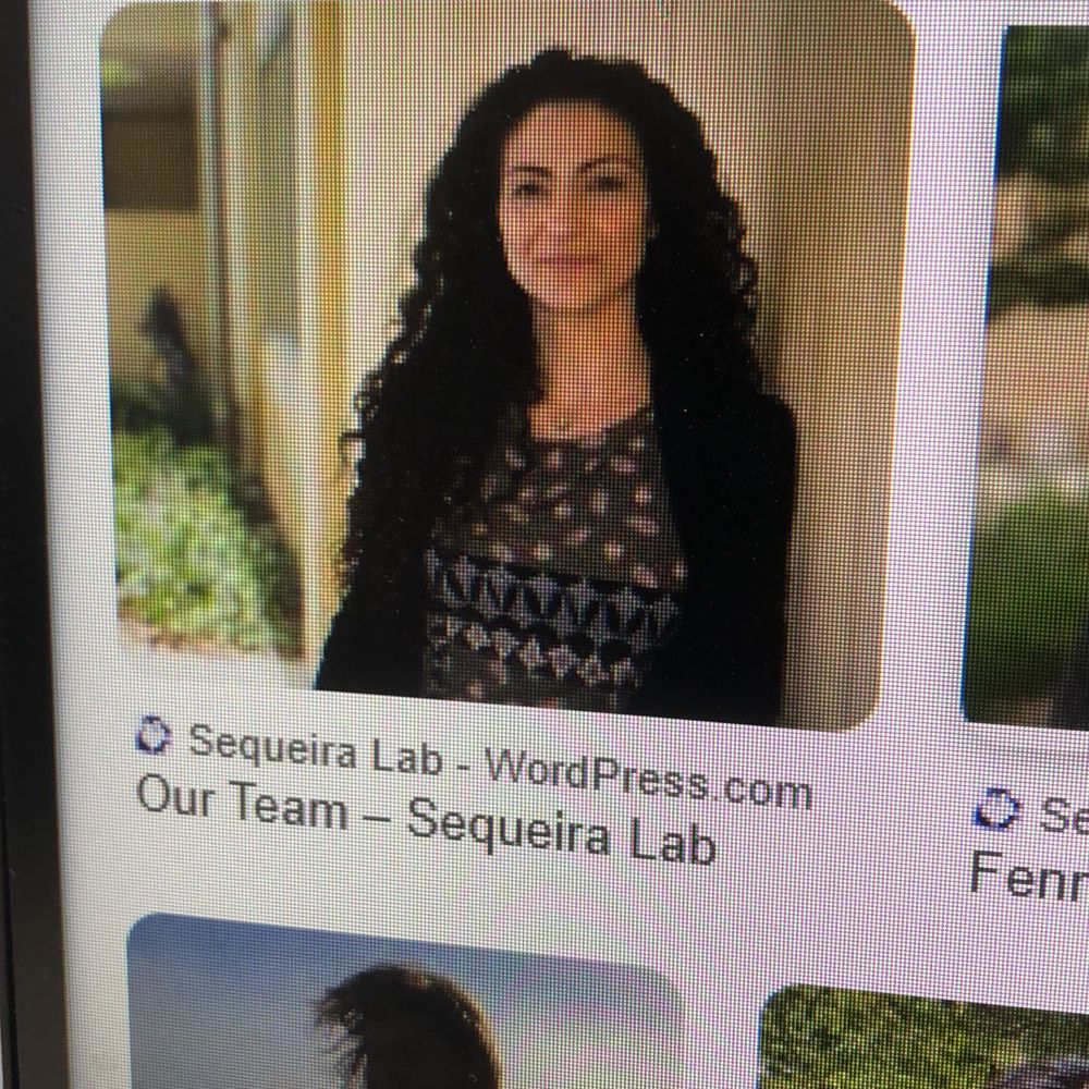 Ana MM Sequeira