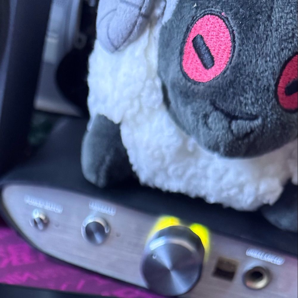 Awake Sheep