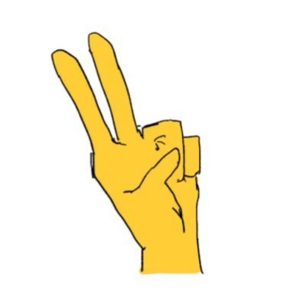 志真