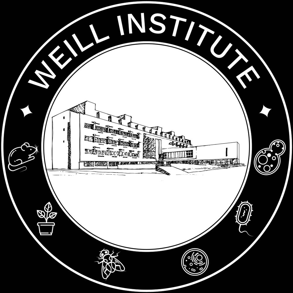 Weill Institute for Cell & Molecular Biology