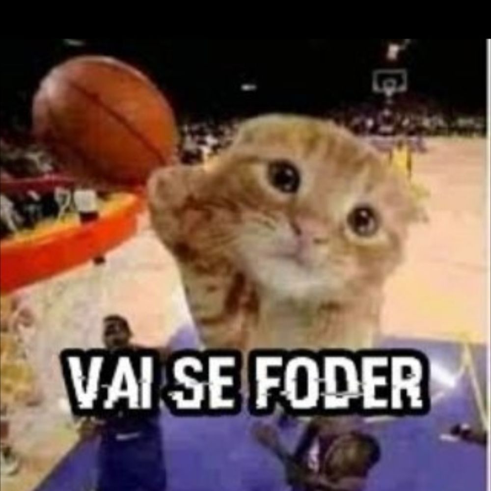 NÃO SOU O RAPOSITOOOO