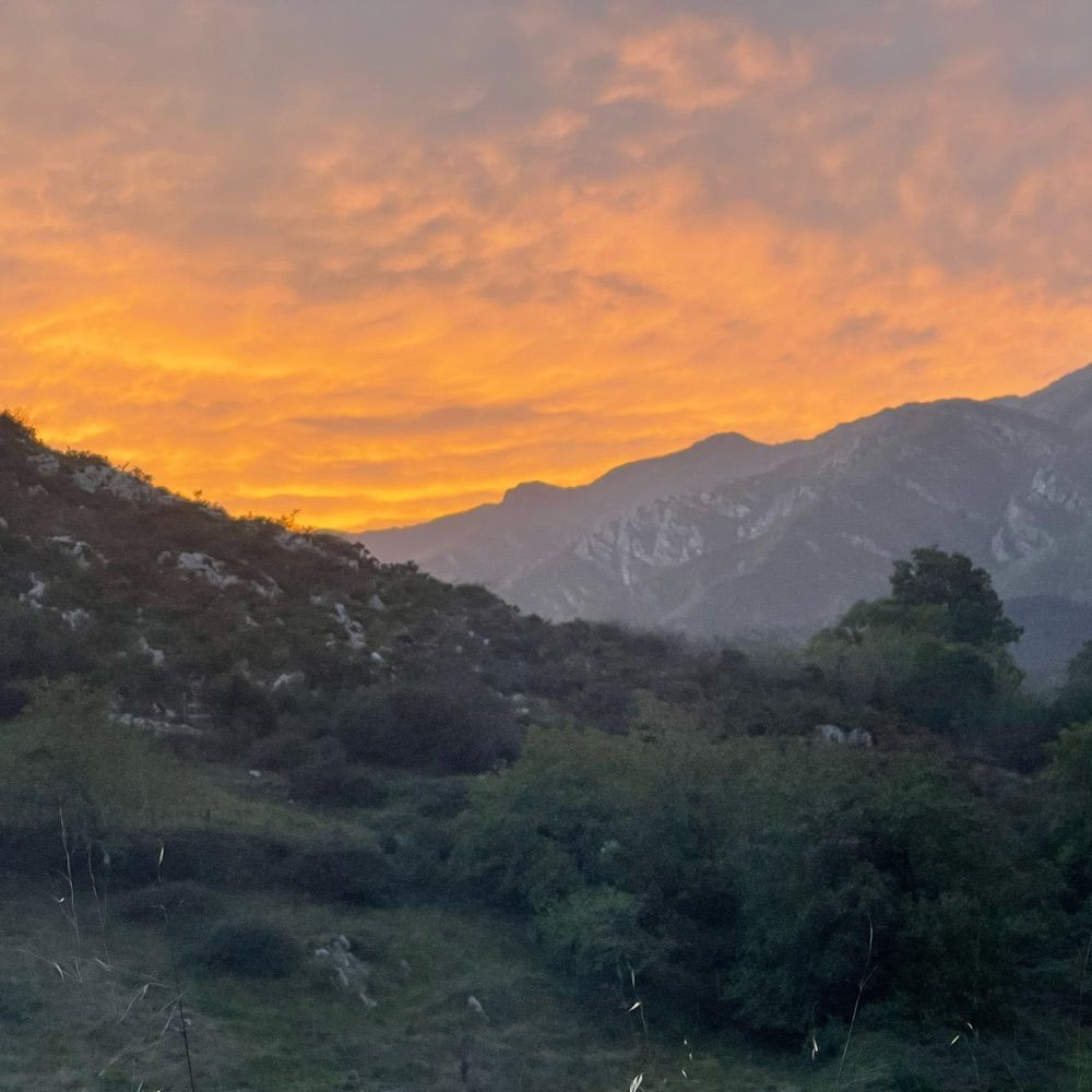 Wild Finca