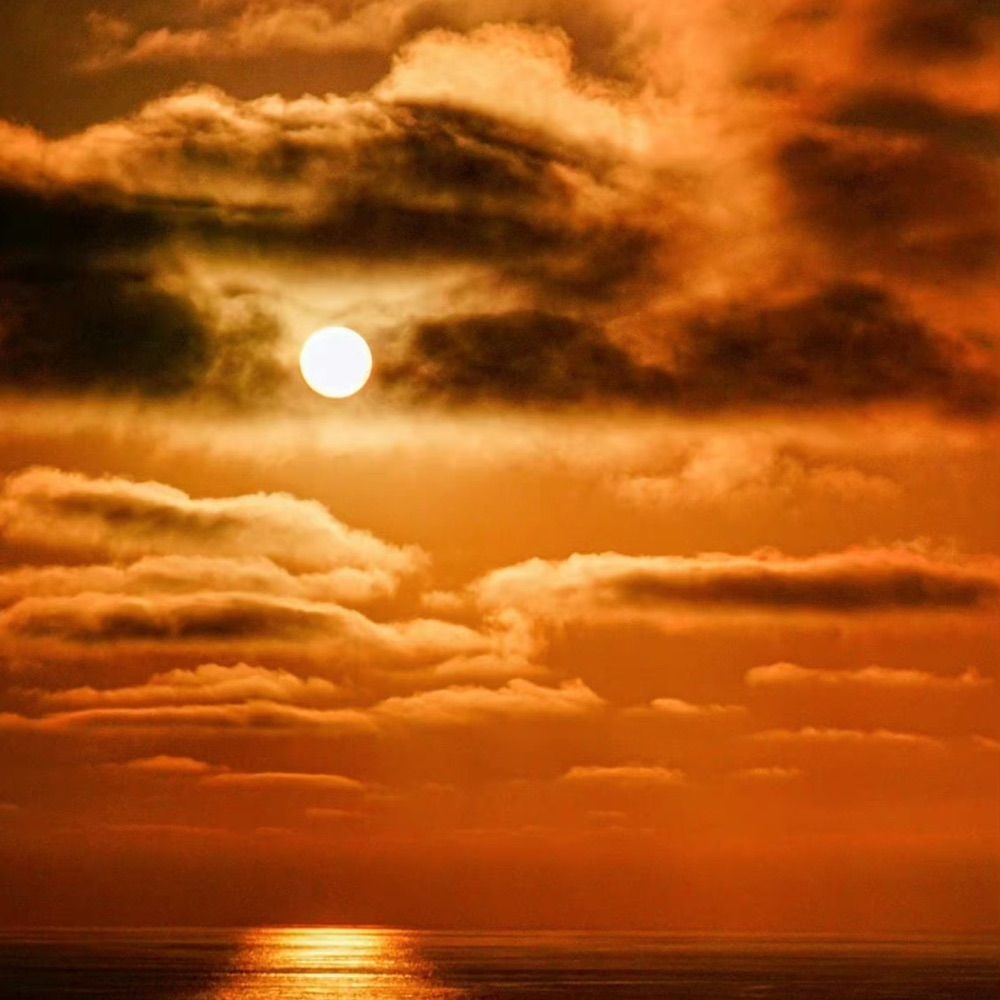 sunnysunset
