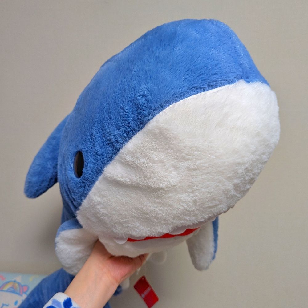 さめ(可能性)