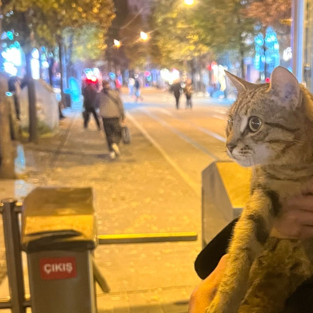 mavi ekran