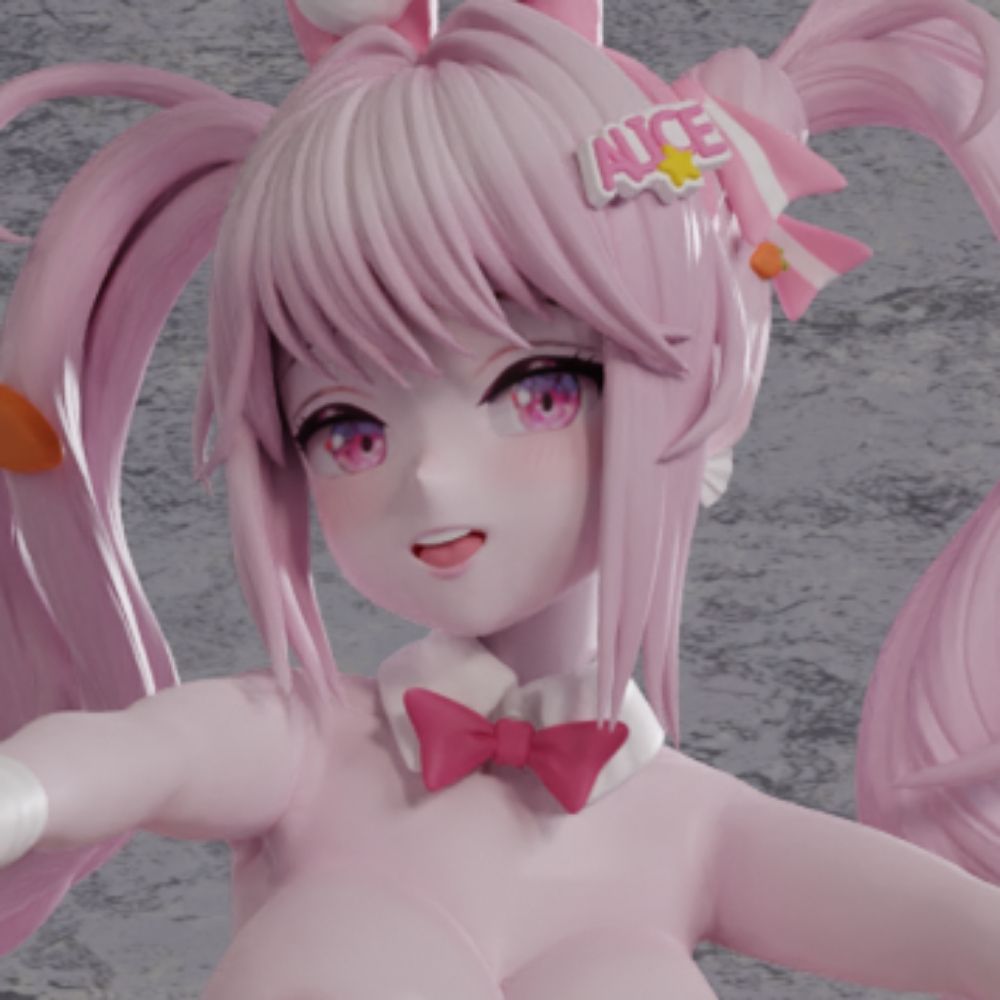 HaSo