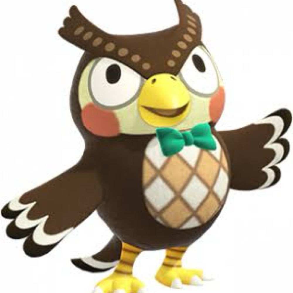 Owl33